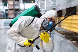 Best Fumigation Services  in Comanche, TX